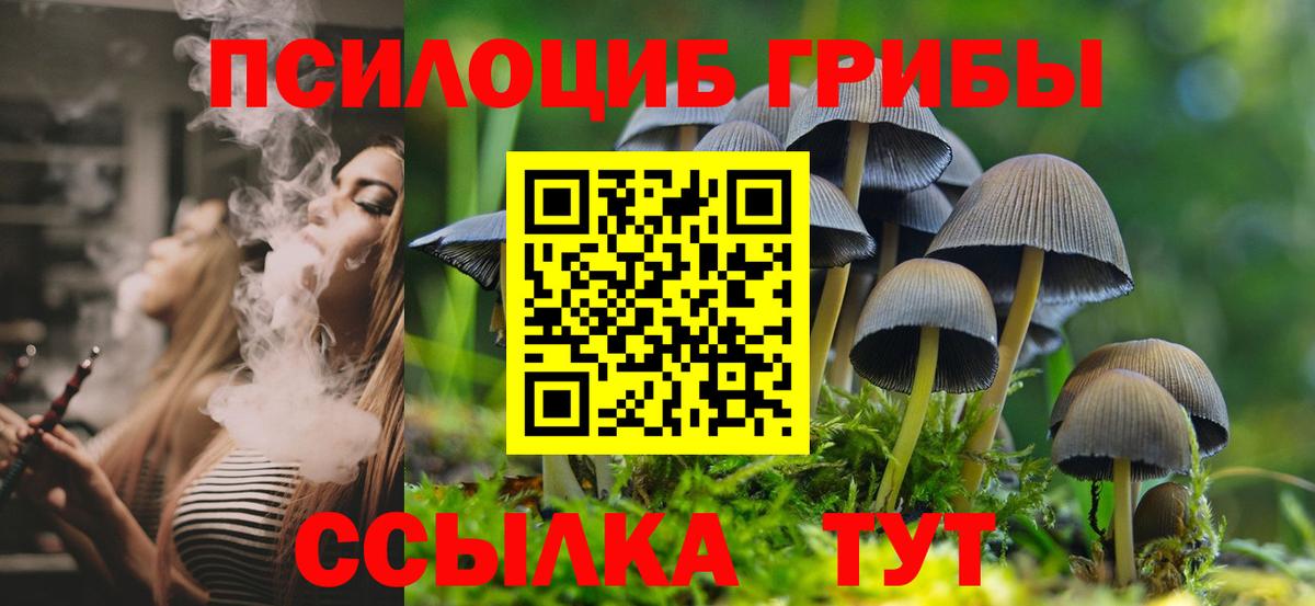 Кузнецк  Псилоцибиновые грибы Cubensis  Вход с VPN 