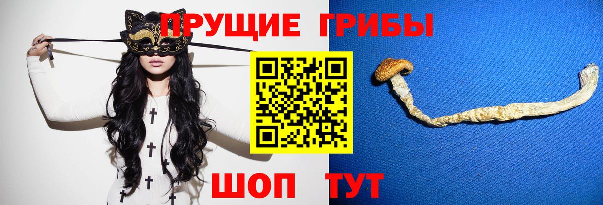 Галлюциногенные грибы ЛСД Кузнецк